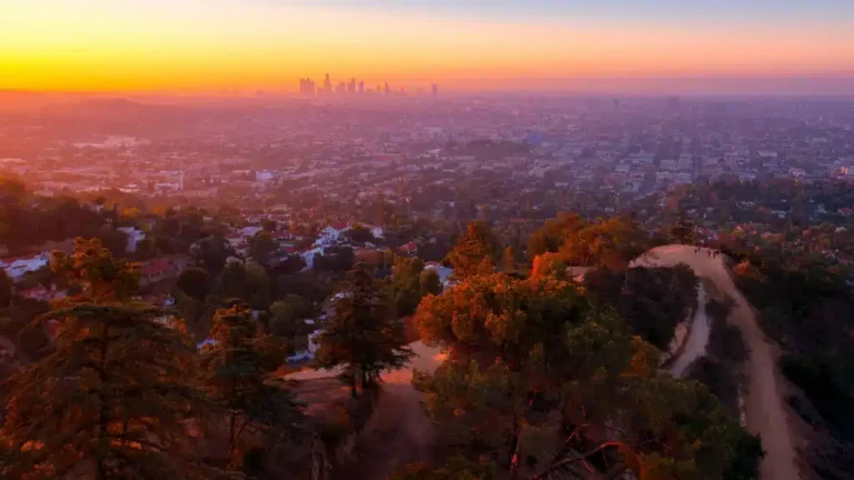 Experienced Los Angeles Wrongful Termination Lawyer Reviewing Employee Rights and Legal Options