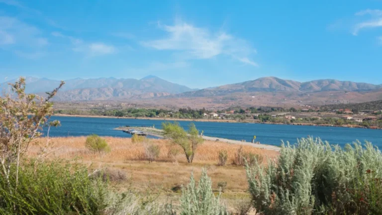 How Palmdale Layoffs and Terminations Can Happen Due to Business Changes and Employment Decisions